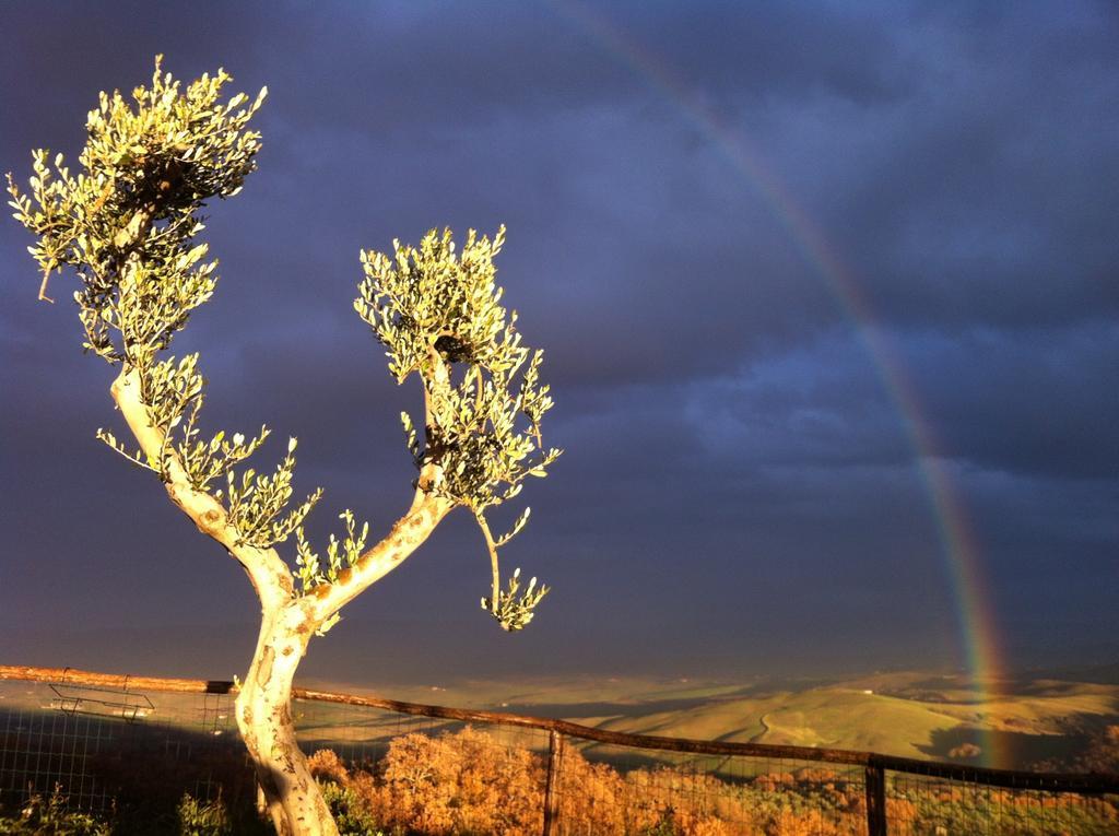 Podere Casella Βίλα Castiglione dʼOrcia Εξωτερικό φωτογραφία
